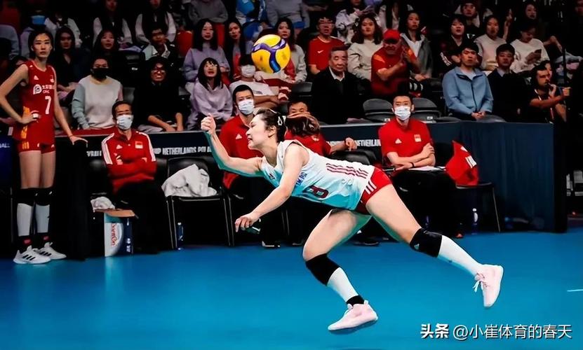 世界杯女排扣杀裁判？女排世界杯永久取消