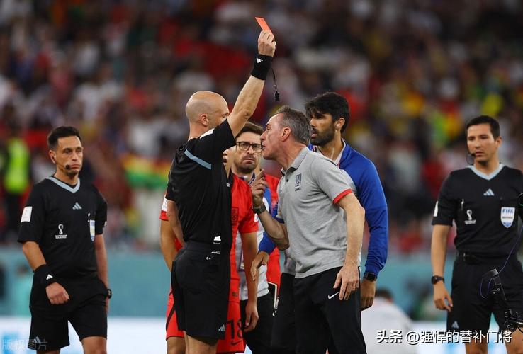 世界杯比赛裁判,世界杯裁判是怎么安排 世界杯比赛裁判,世界杯裁判是怎么安排