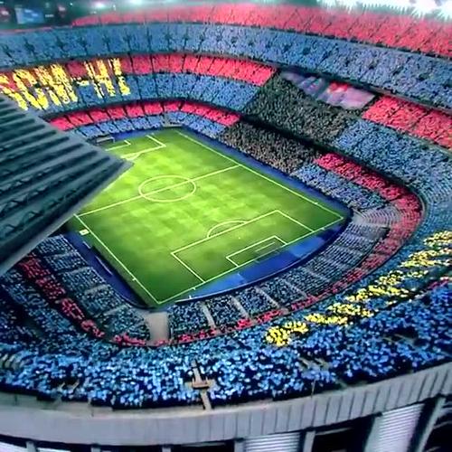 tifo tifo是什么意思 tifo tifo是什么意思