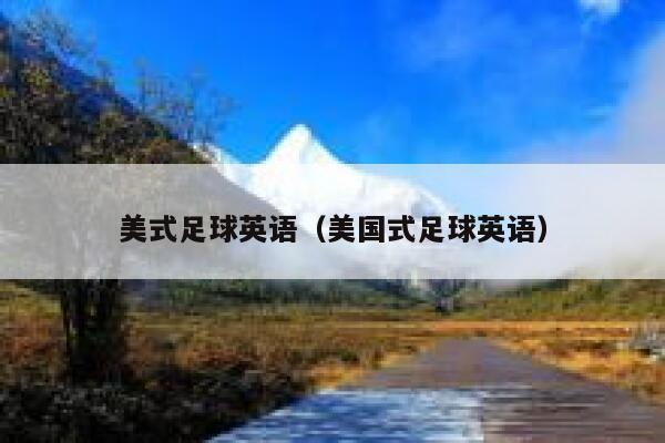 美式足球位置(美式足球的各种位置的中英翻译)